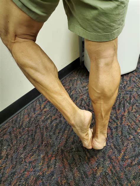 asian calves genetics